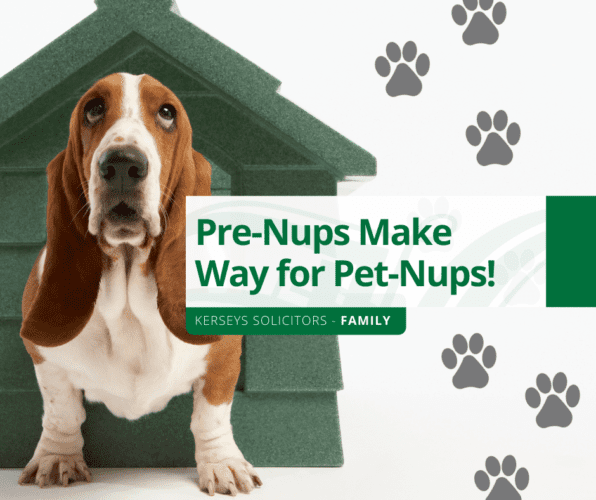 Pre-Nups Make Way for Pet-Nups!