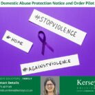 Domestic Abuse Protection Notice and Order Pilot